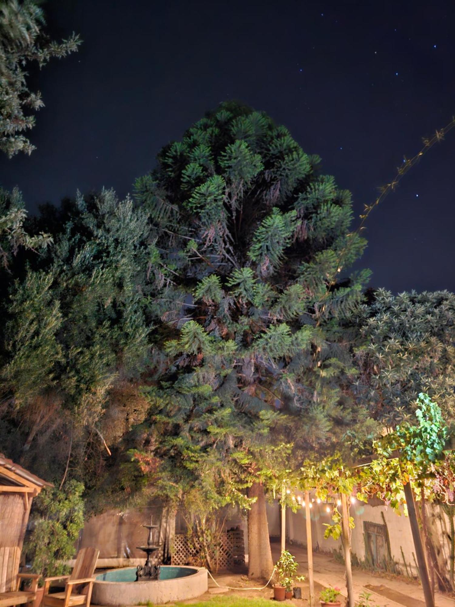 La Araucaria Cabana Con Tinaja Сан-Феліпе Екстер'єр фото