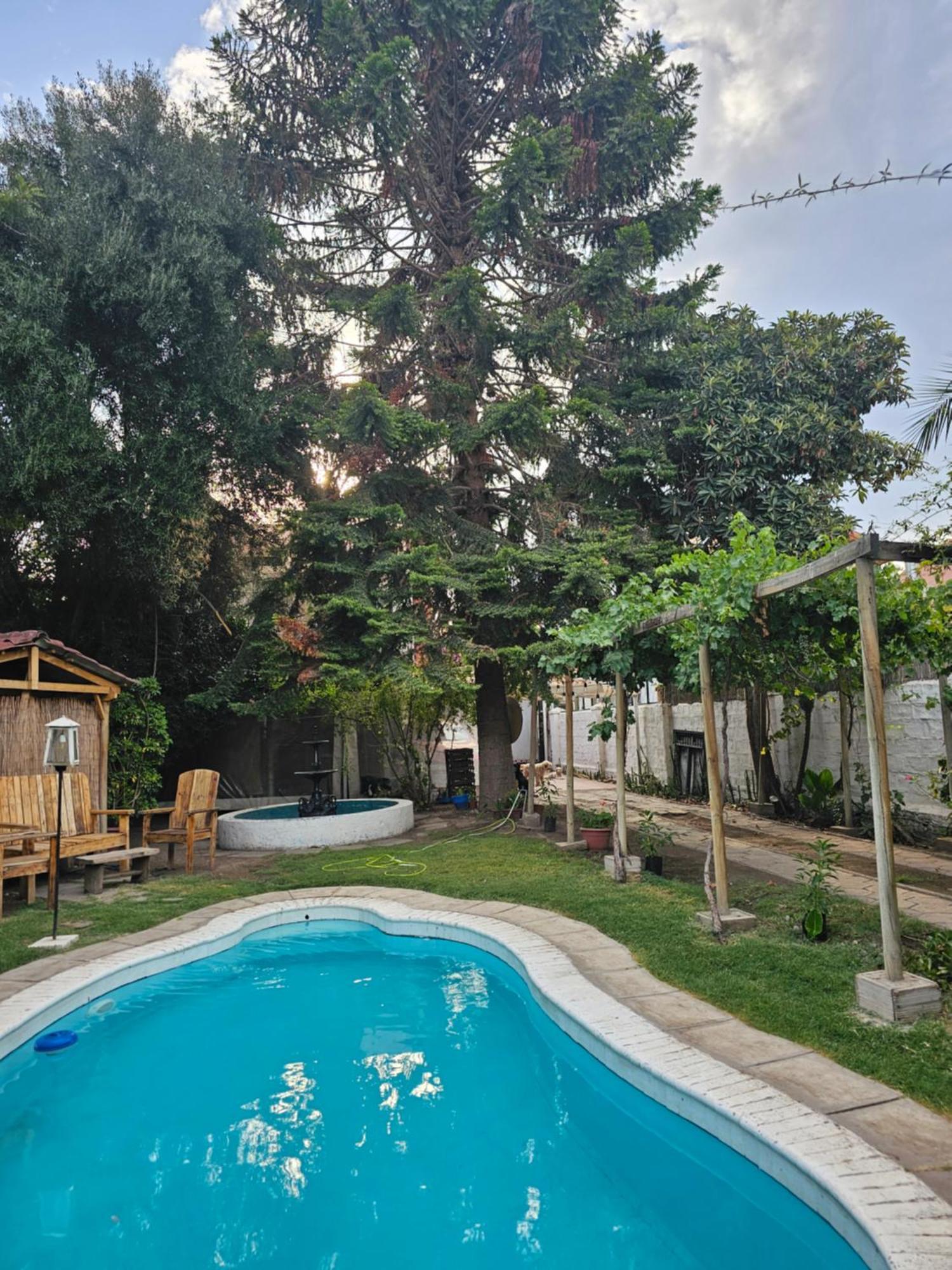 La Araucaria Cabana Con Tinaja Сан-Феліпе Екстер'єр фото